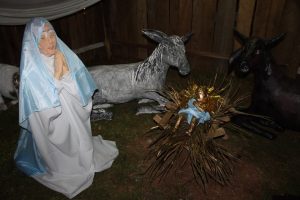 pmj-natal25-3
