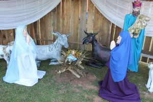 pmj-natal25-4